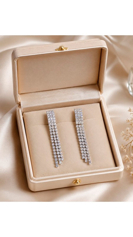ARETES LARGOS PLATEADOS