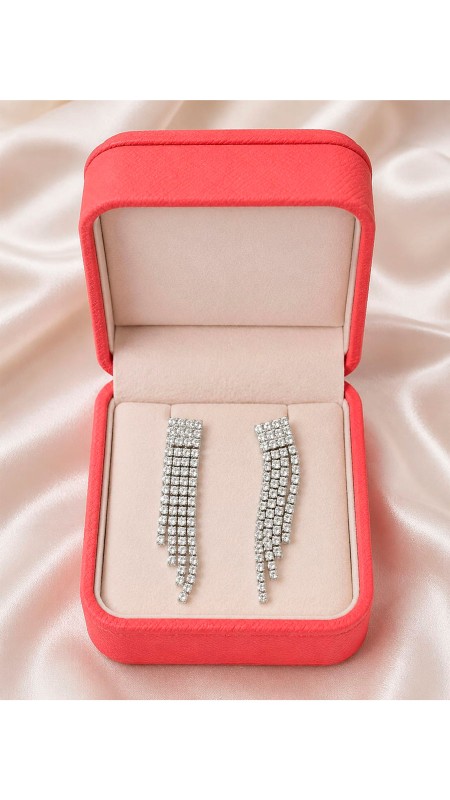 ARETES PLATEADOS LARGOS