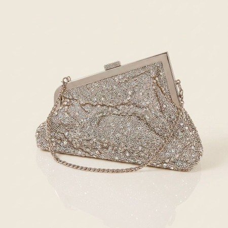 CARTERA CON BRILLOS